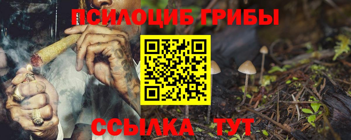 Псилоцибиновые грибы GOLDEN TEACHER  Вход с VPN  Менделеевск 